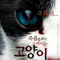 고양이: 죽음을 보는 두개의 눈